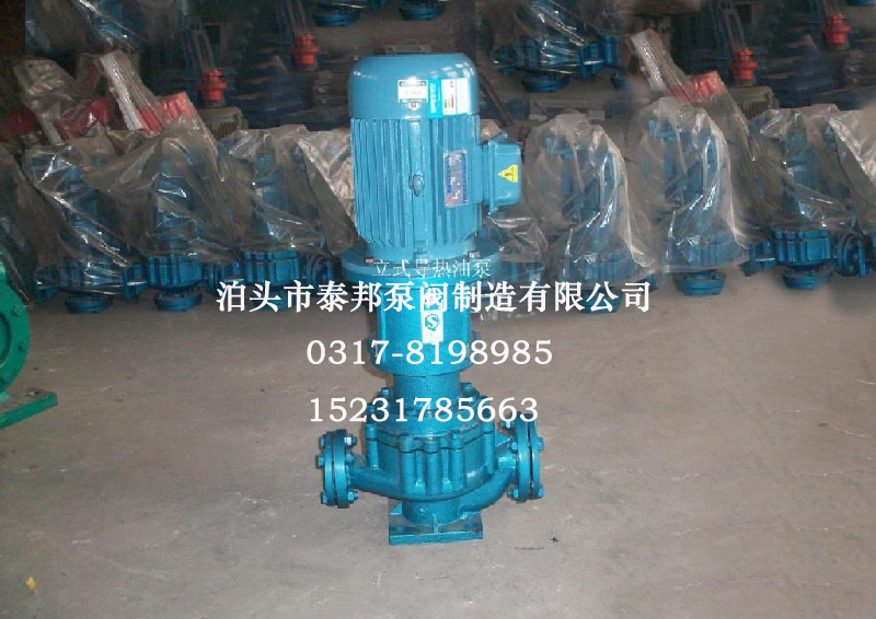 RY立式導熱油泵,立式導熱油泵,立式熱油泵